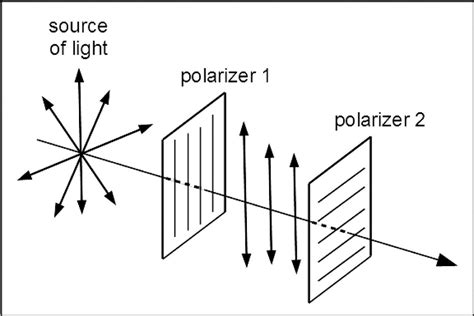 polarized light questions and answers